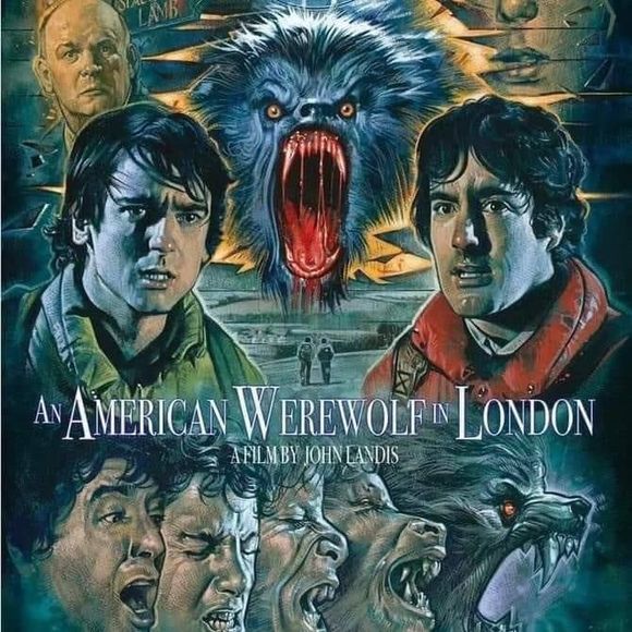 Meet your Posher, Ricky - Picture 1 of 1